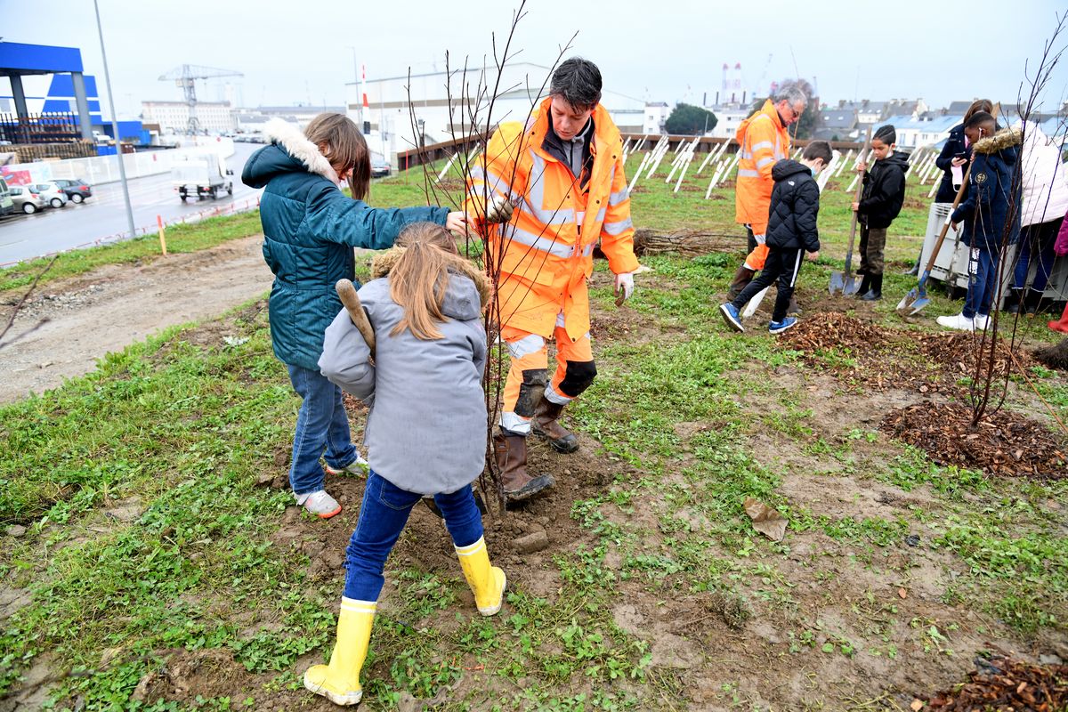 Des scolaires plantent les nouveaux arbres du parc de Méan-Penhoët.